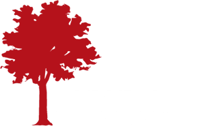 Auburn Village School logo